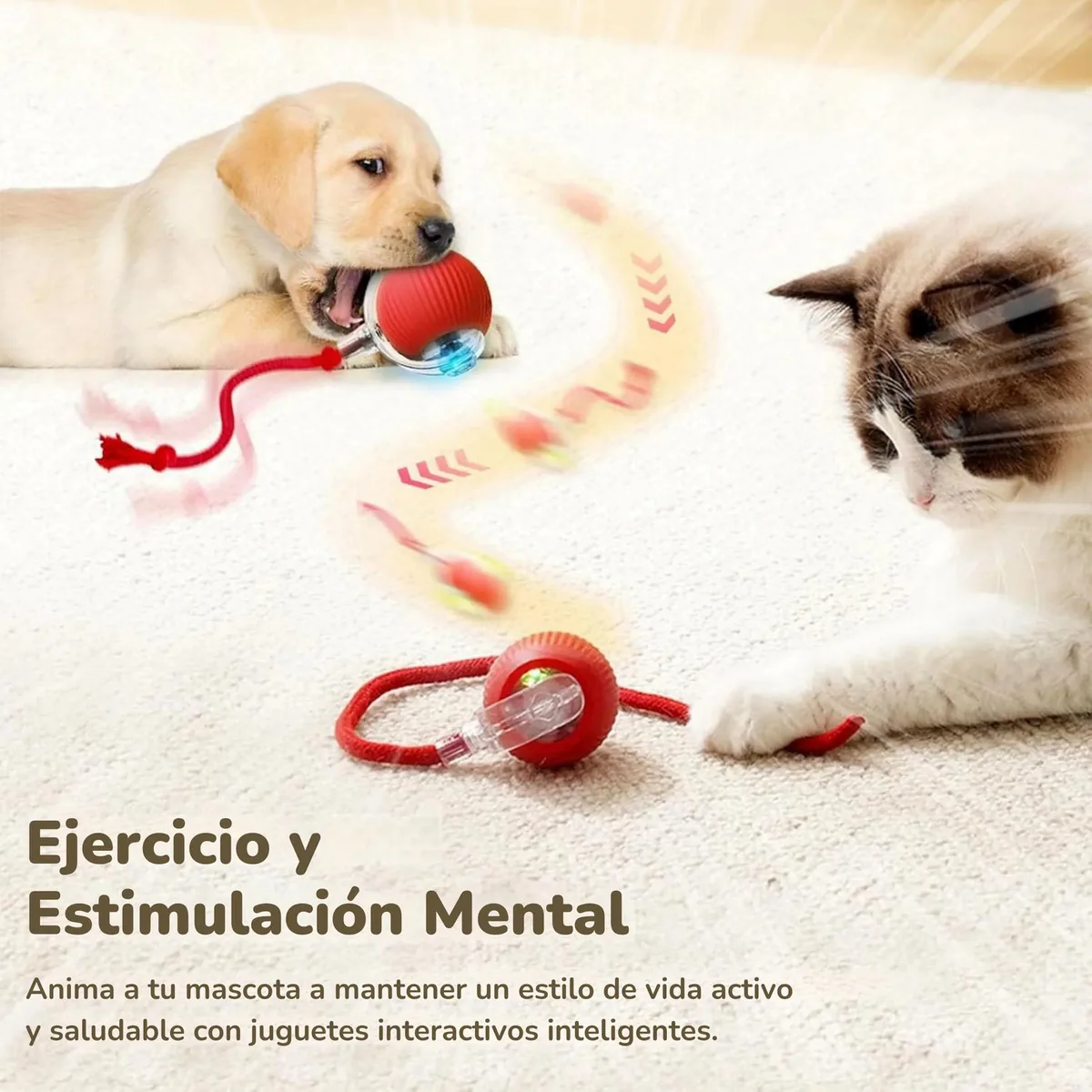 Pelota interactiva jugando con un gato y un cachorro